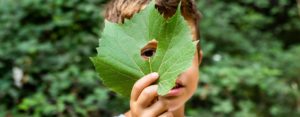 Lee más sobre el artículo Ambiente natural y social