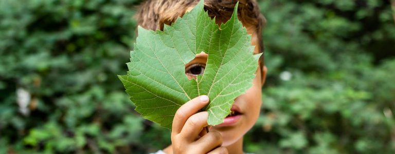 Lee más sobre el artículo Ambiente natural y social